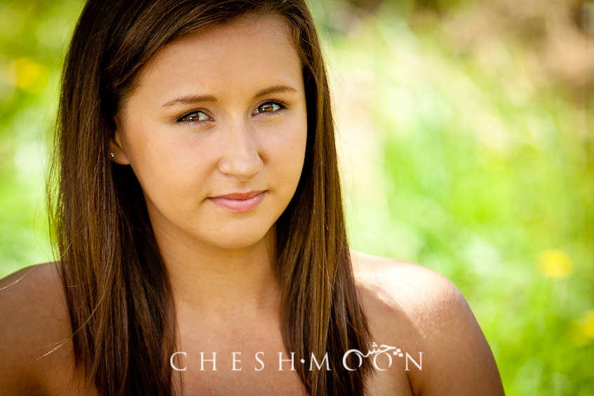 Cheshmoon